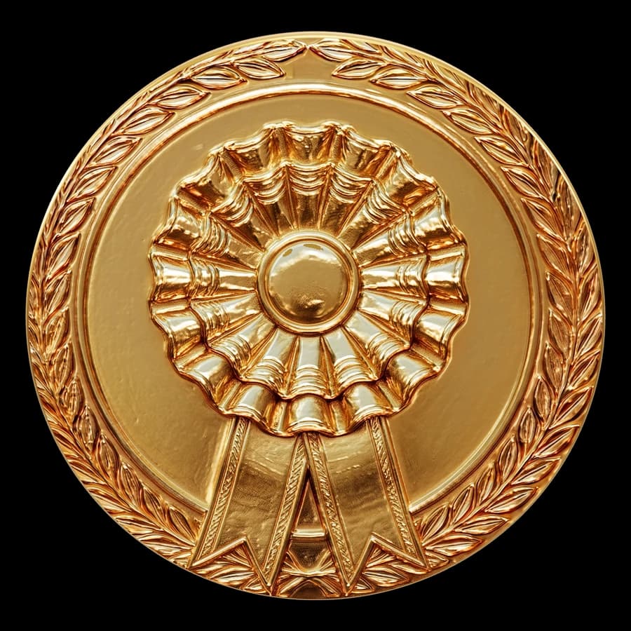 Medalla Primer parte en 3D
