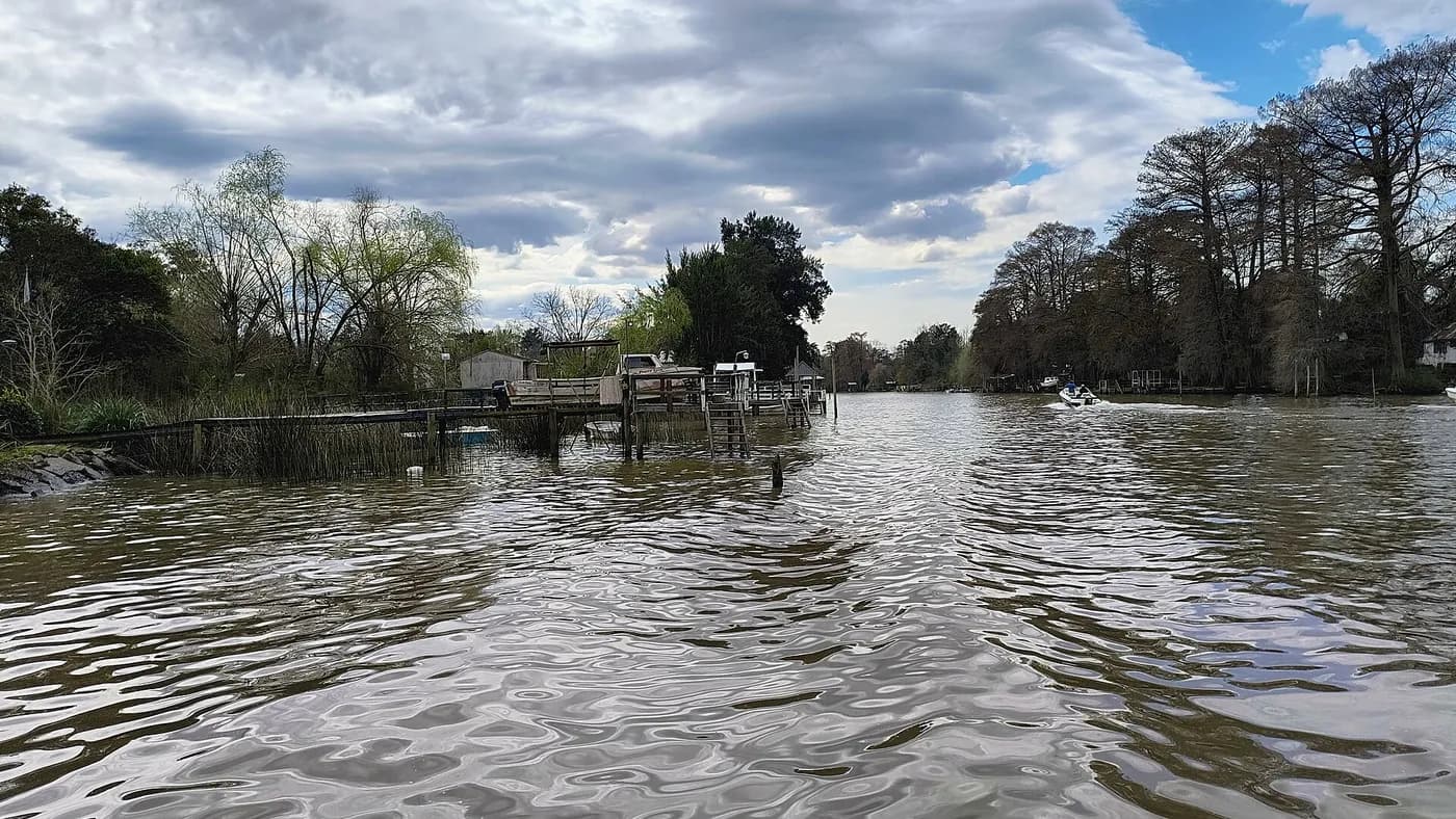Delta del Paraná