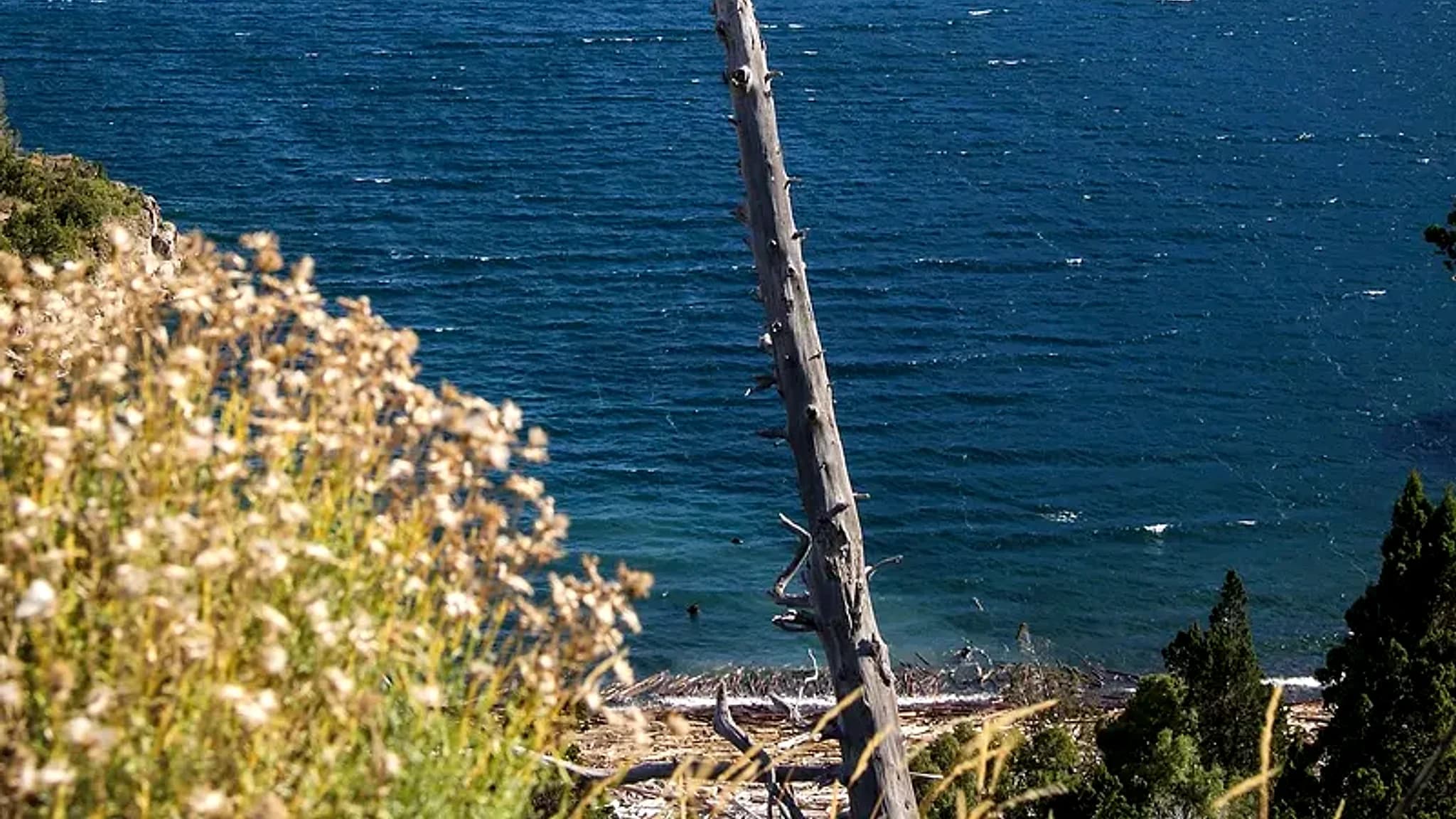 Lago Futalaufquen — 2