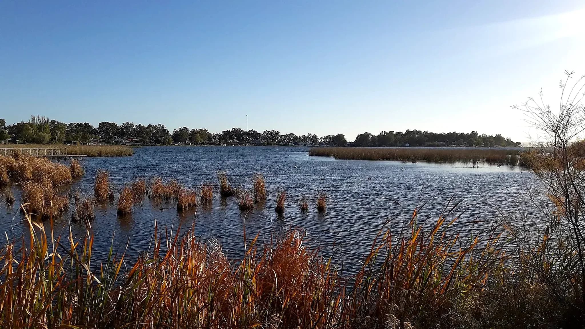 Lago Pellegrini