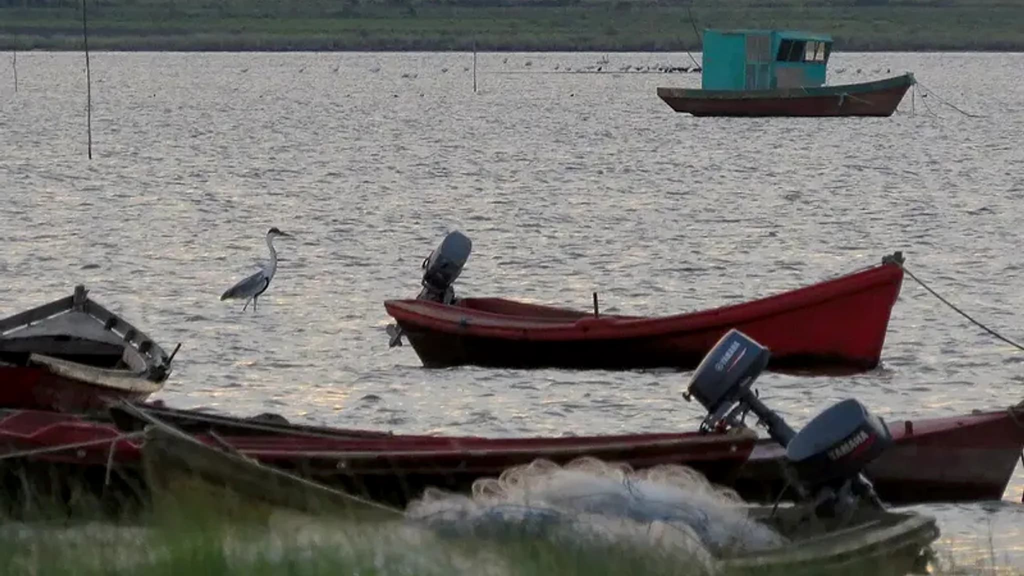 Rocha Lagoon (Lezama) — 2