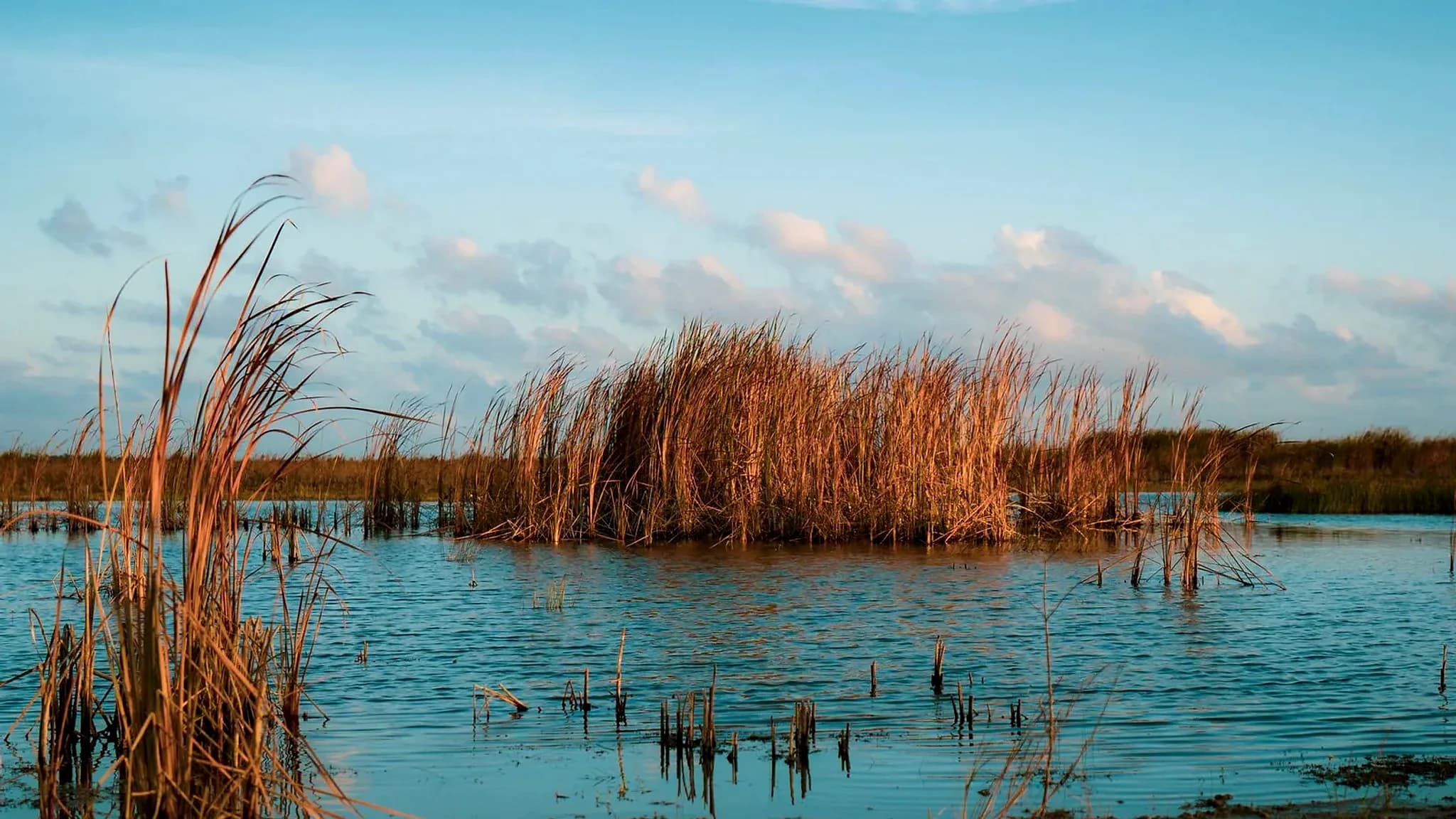 Laguna Don Tomás