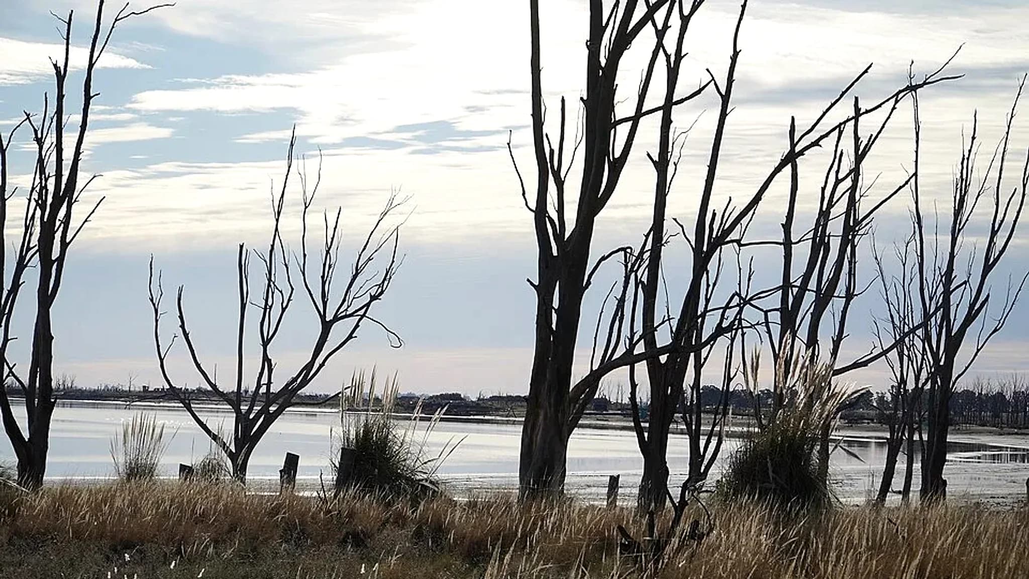 Laguna Epecuén