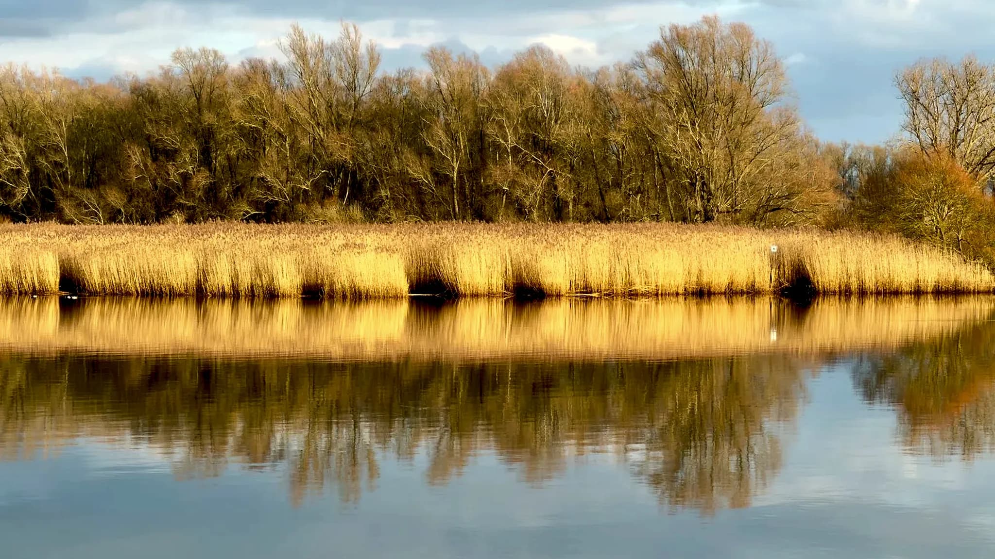 Laguna Guaraco