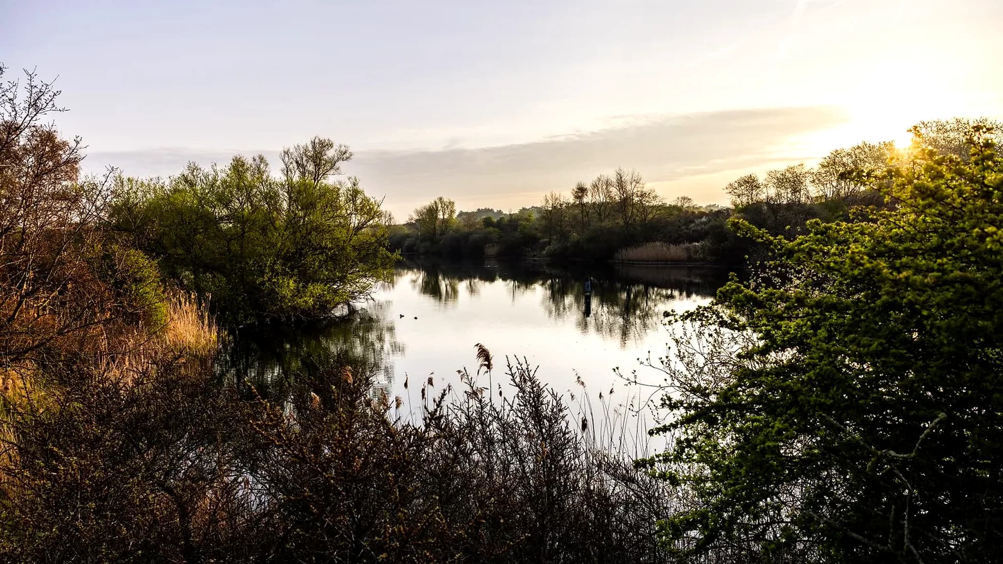 Laguna Hinojales Grande