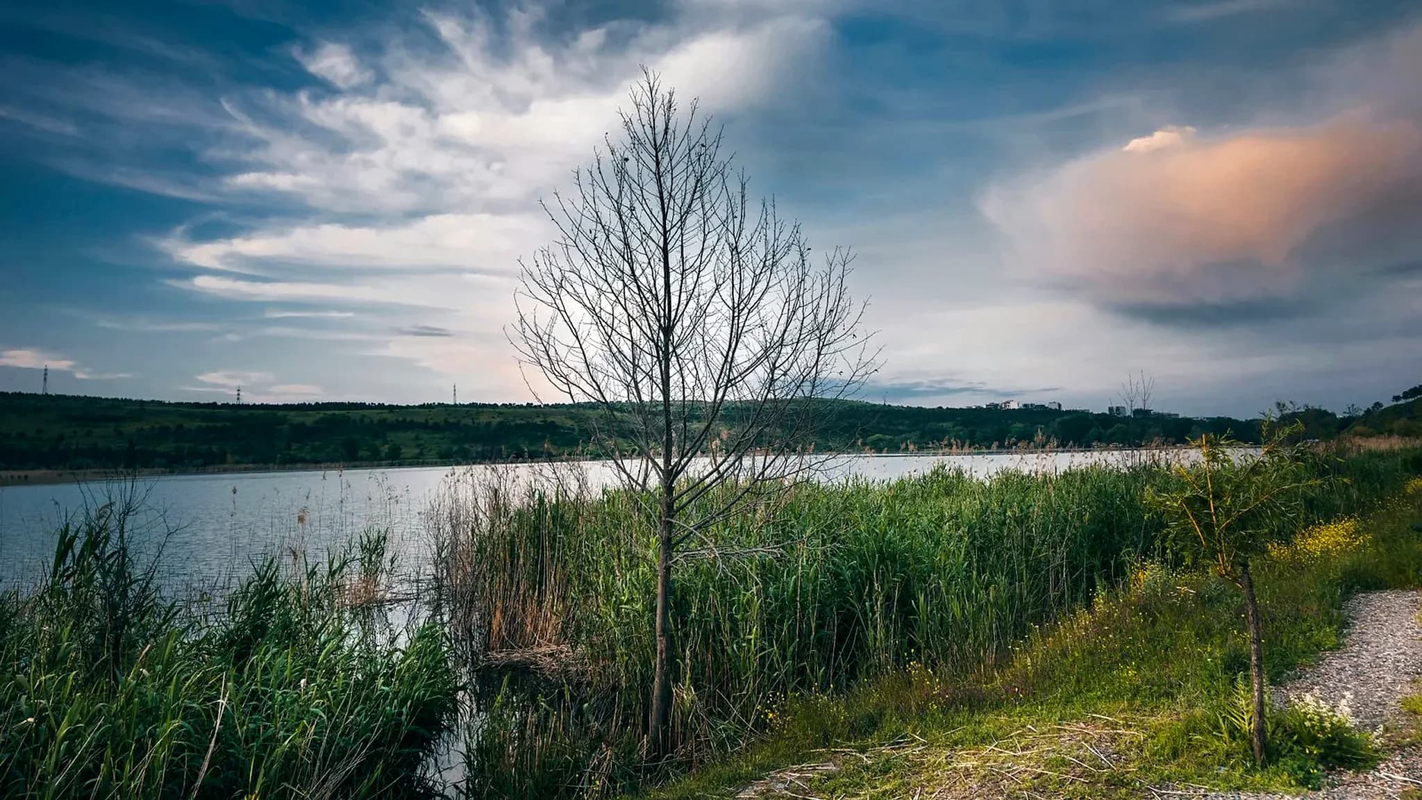 Laguna La Salada