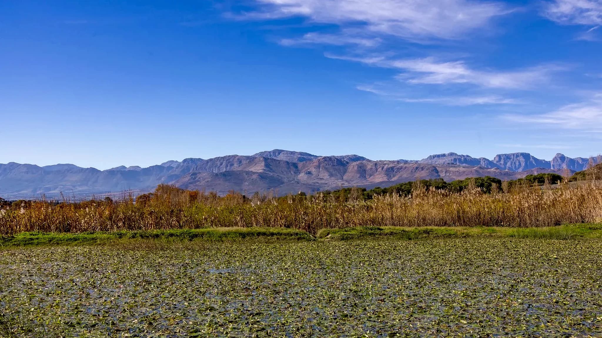 Laguna Lauquen Mallín