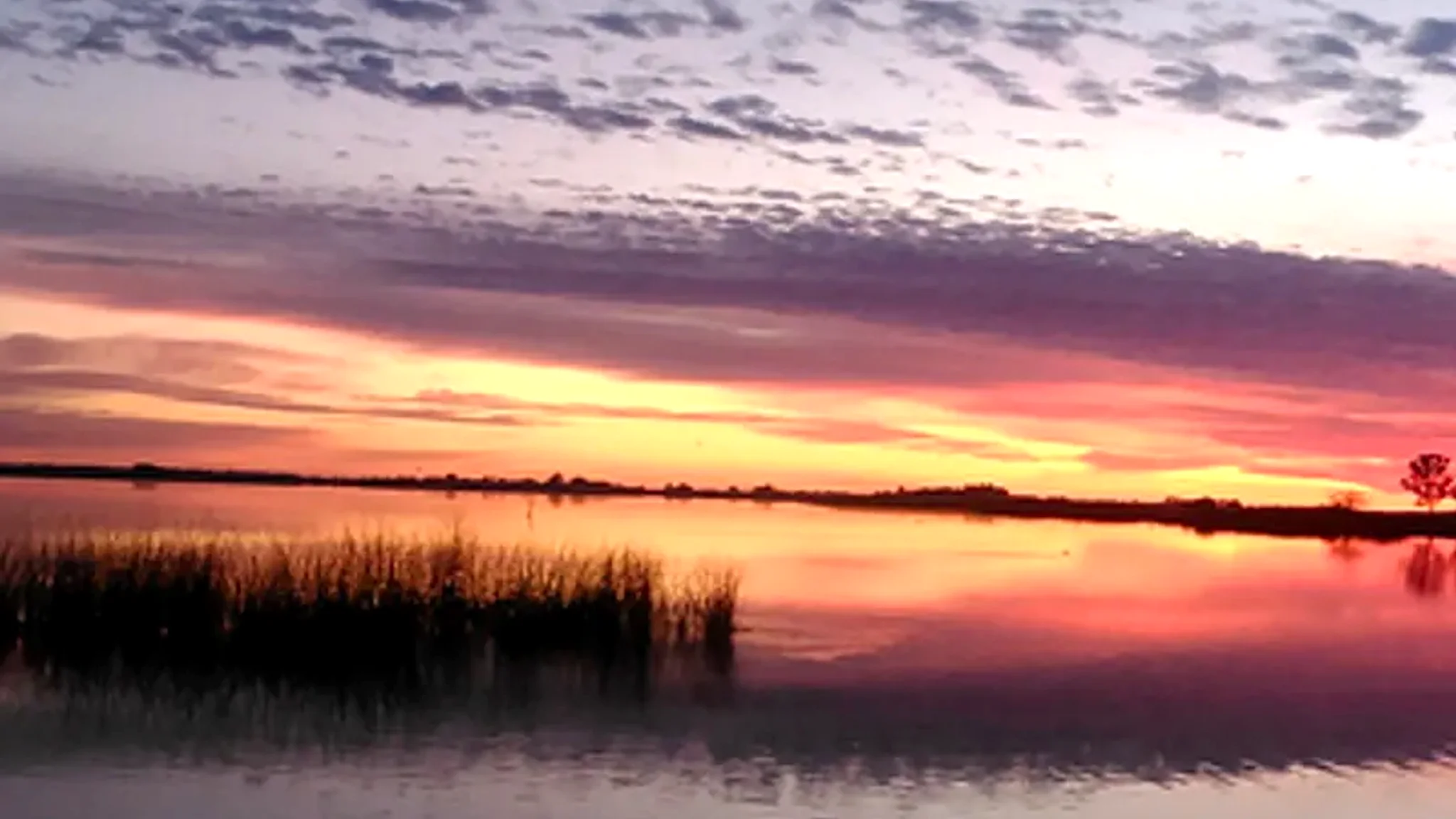 Lobos Lagoon — 2