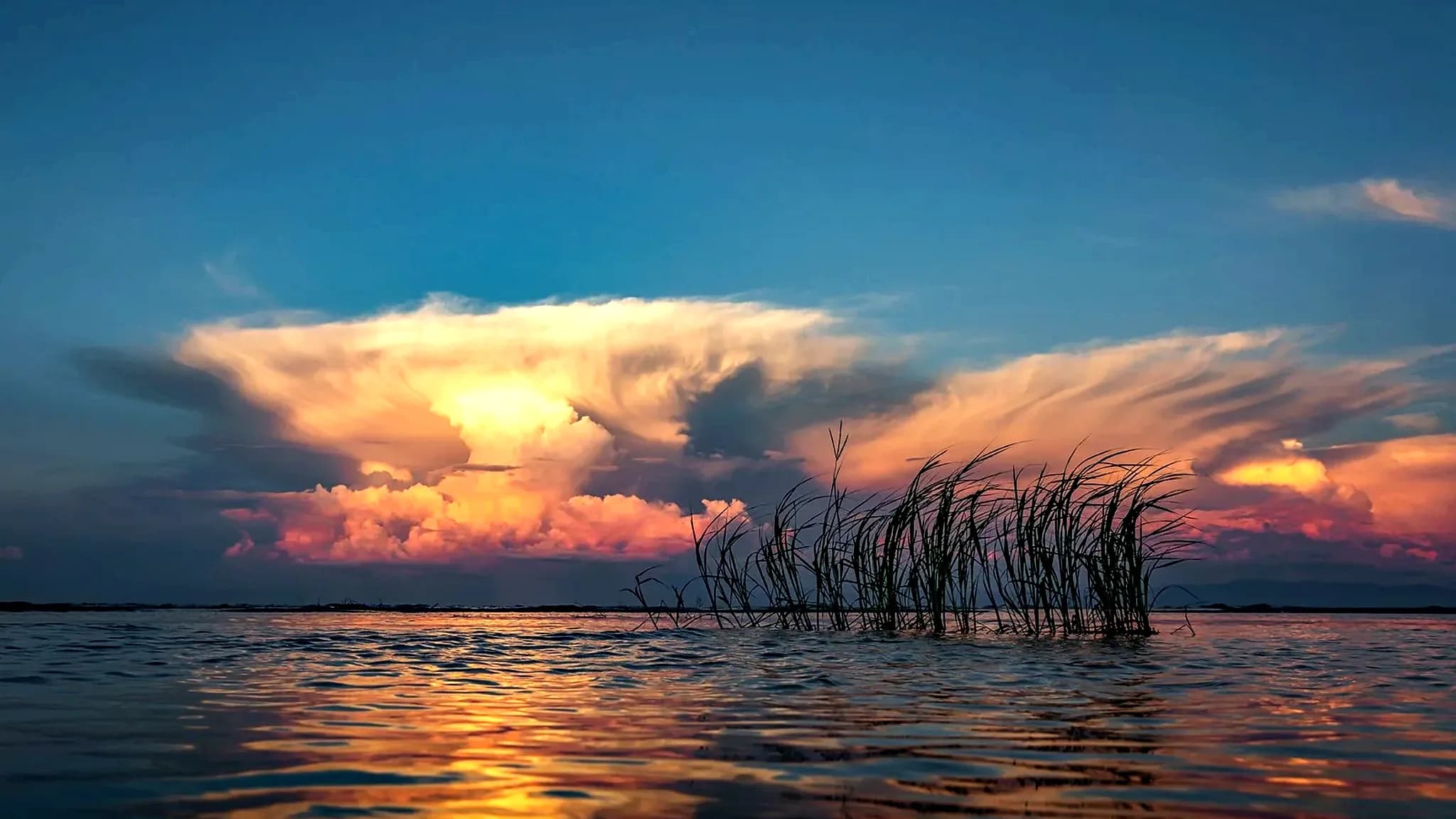 Laguna Los Horcones