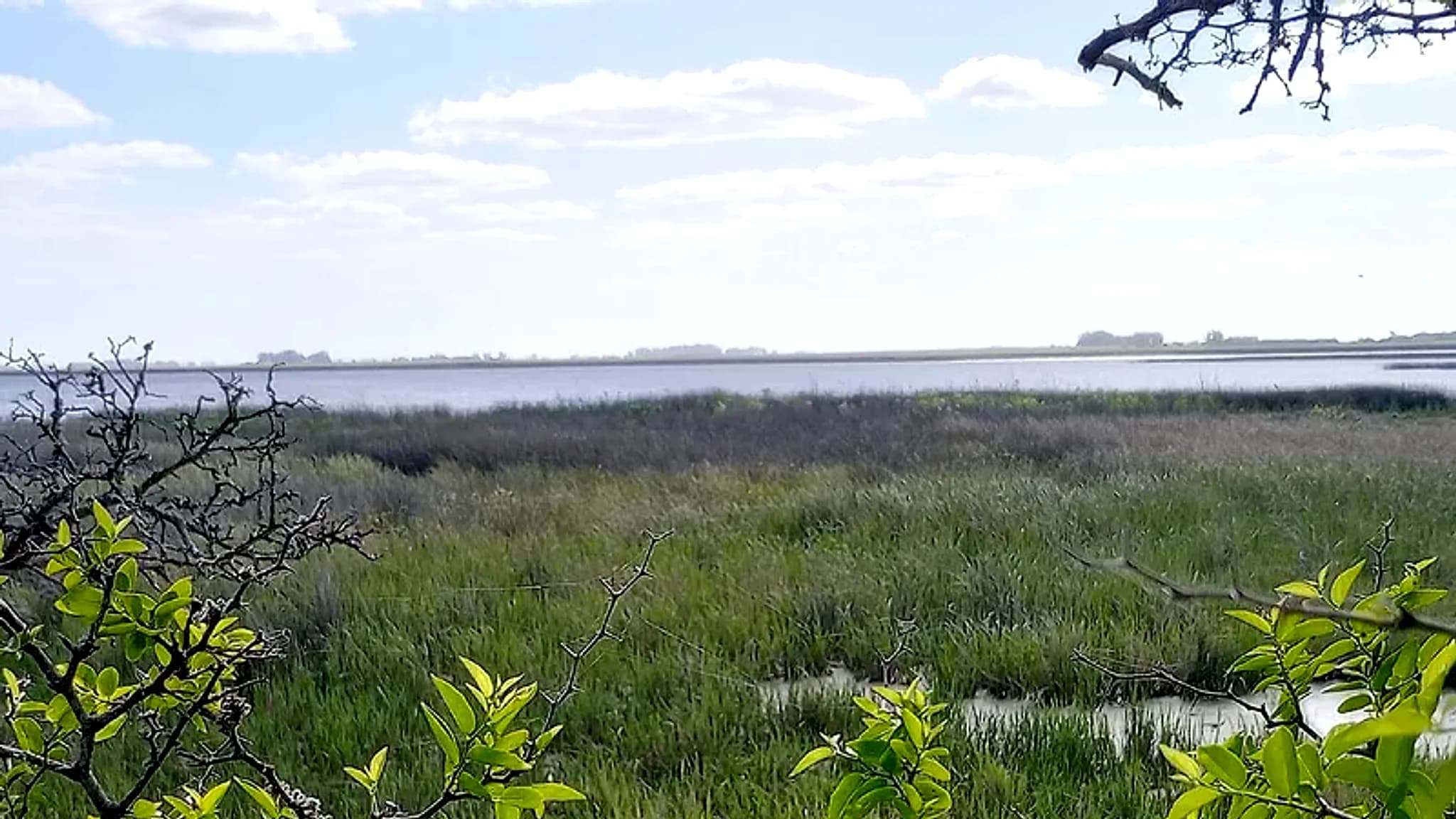 Mar Chiquita Lagoon (Atlantic Coast) — 2