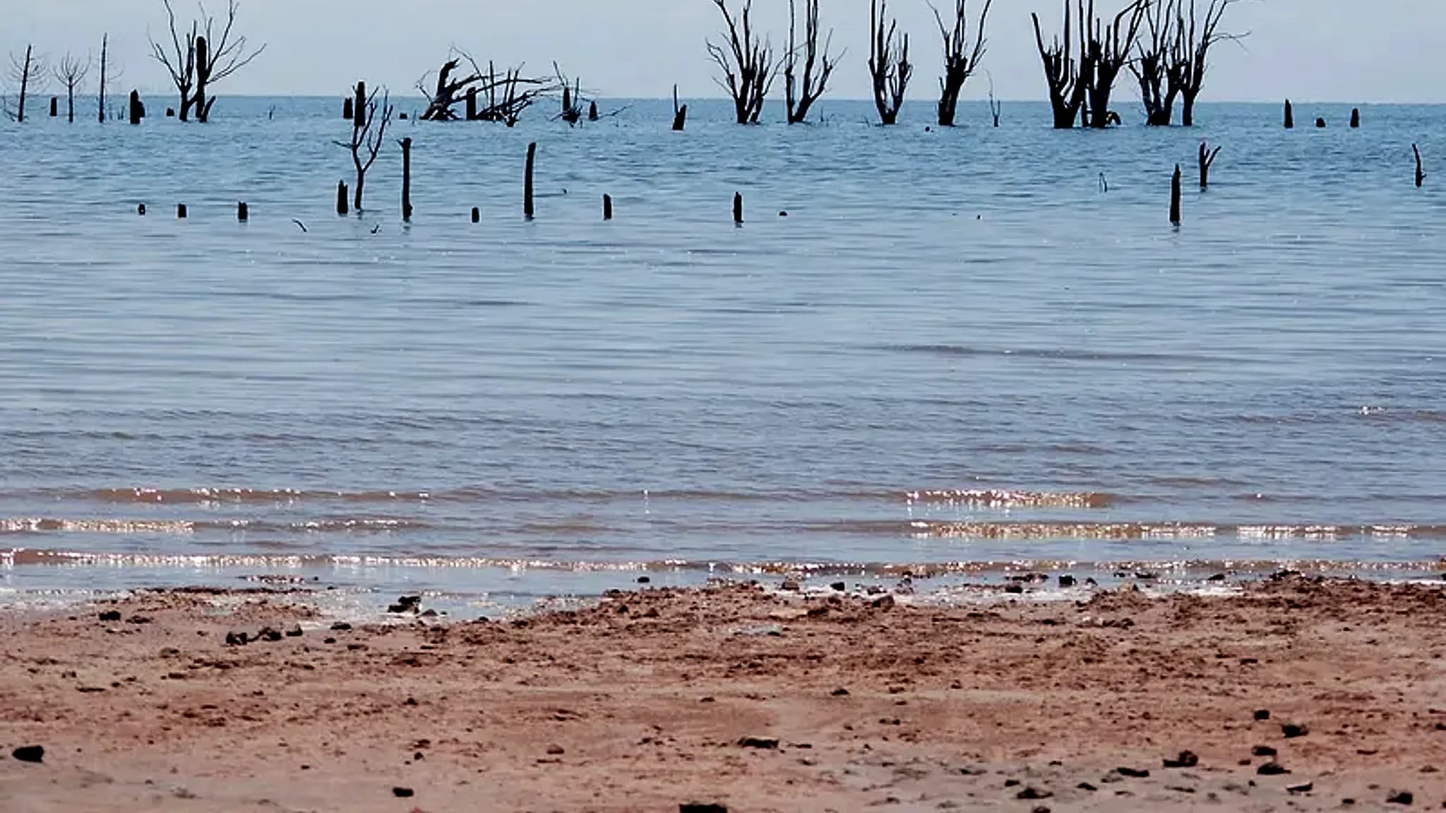 Mar Chiquita Lagoon (Ansenuza) — 3
