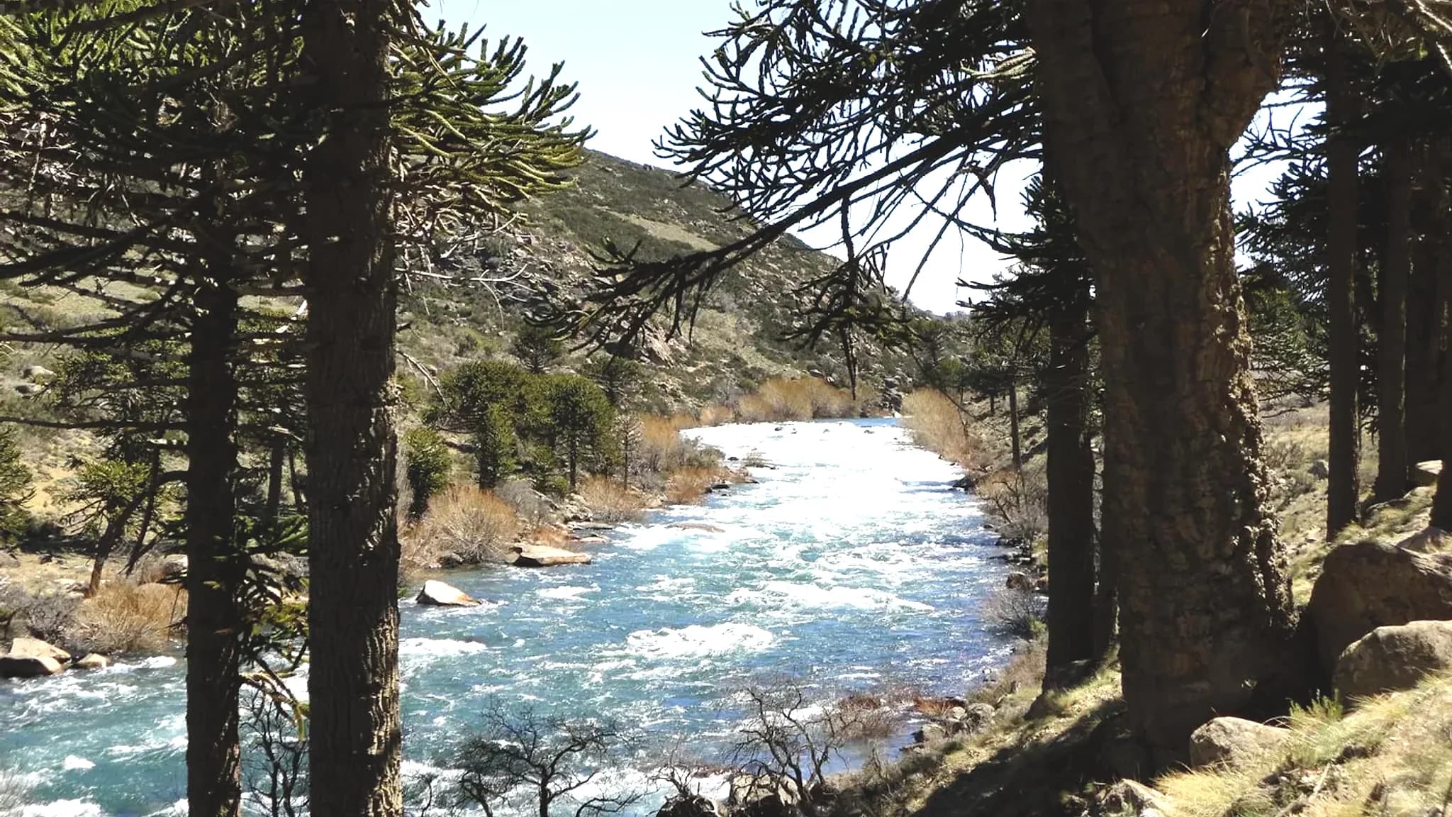 Montaña Negra