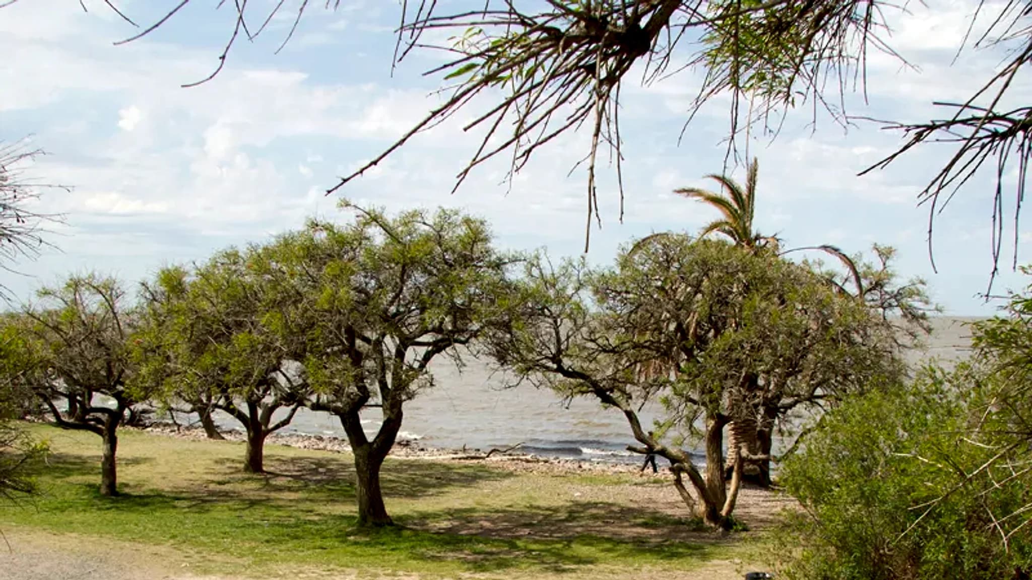 Río de la Plata (Costanera) — 2