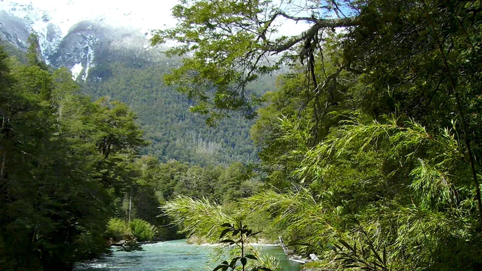 Rio Futaleufú — 1