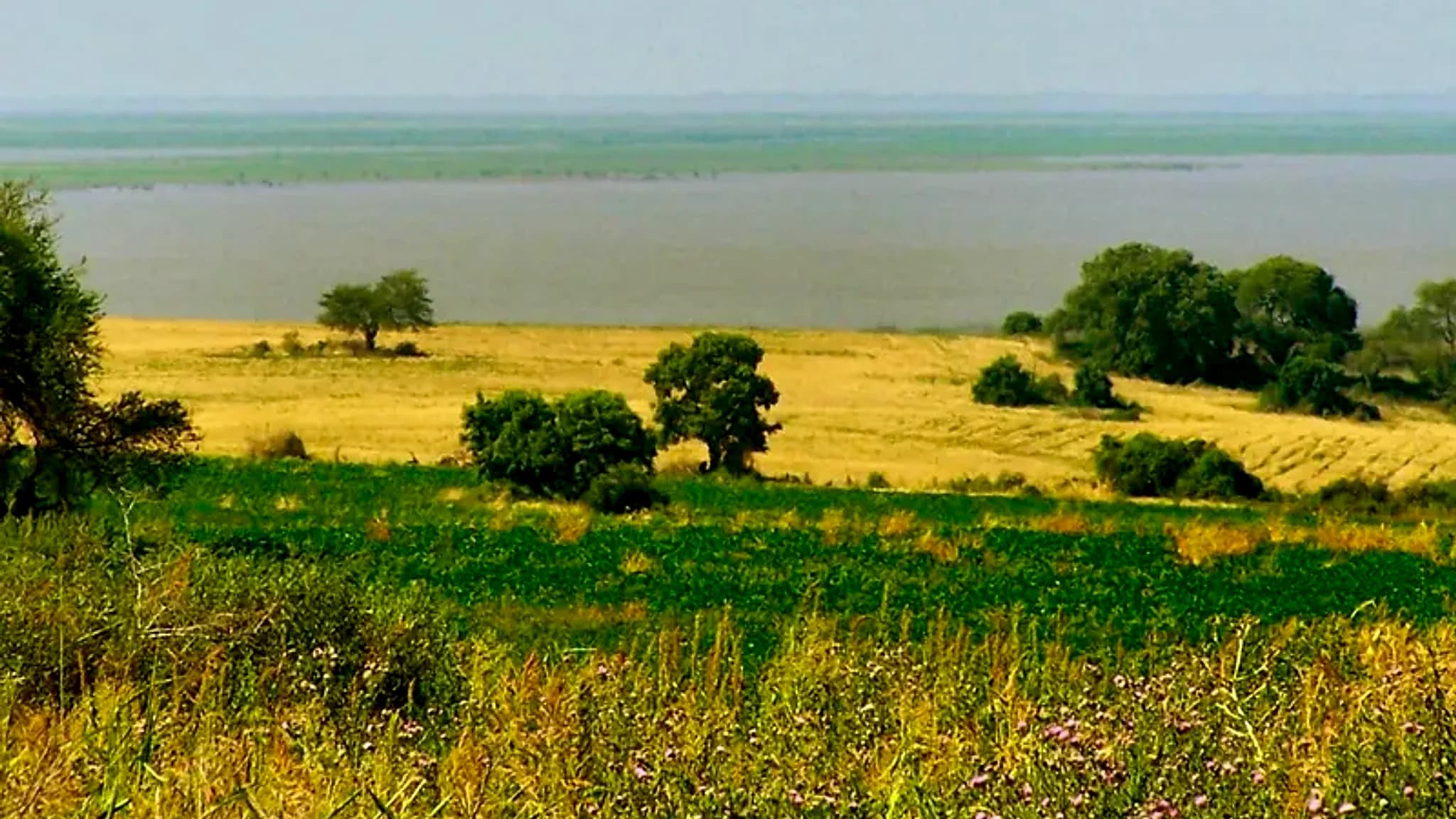 Rio Gualeguay — 1