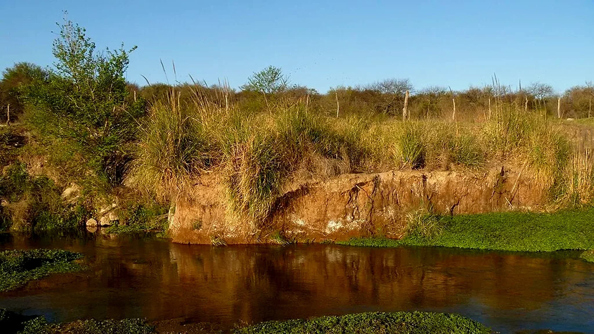 Rio Quinto