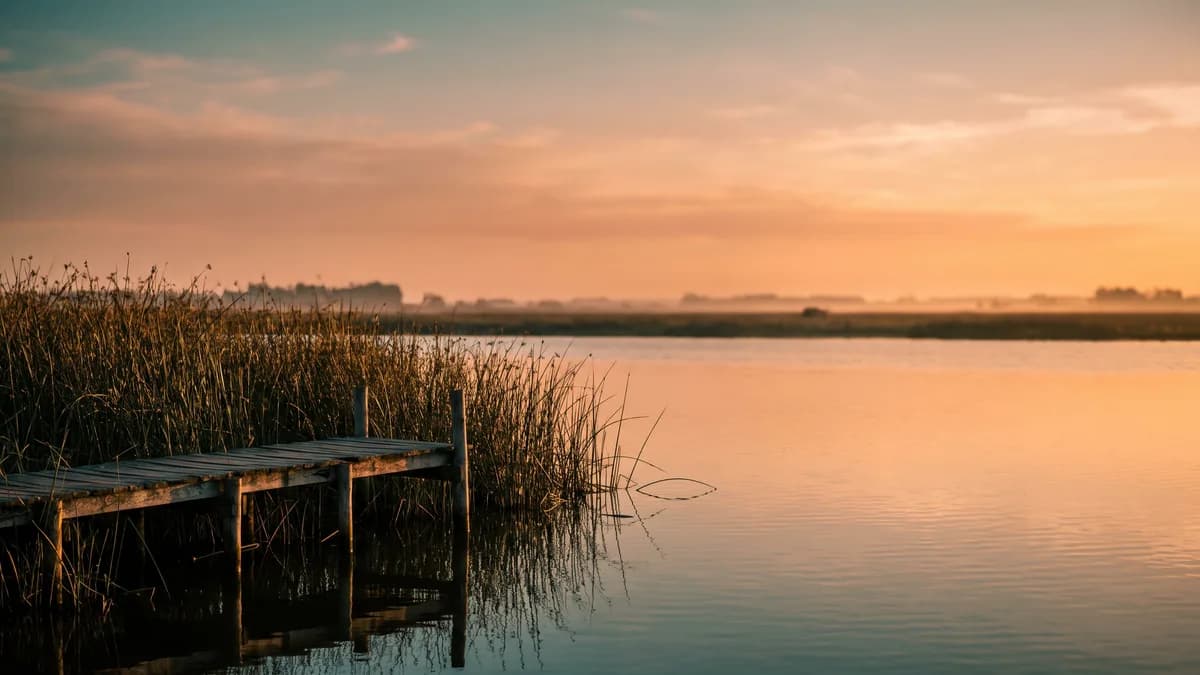 As melhores lagoas de peixe-rei perto de Buenos Aires