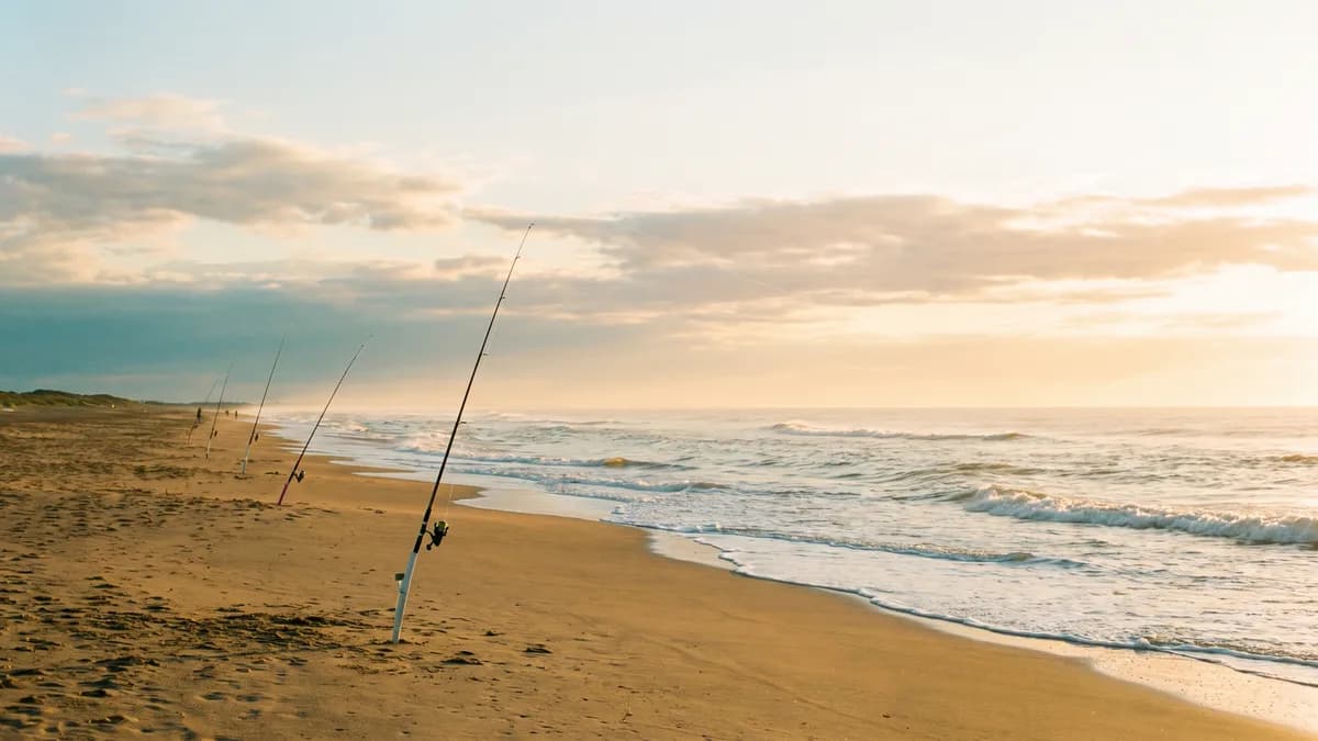 Surfcasting na costa atlântica: corvina, pescadinha e onde lançar