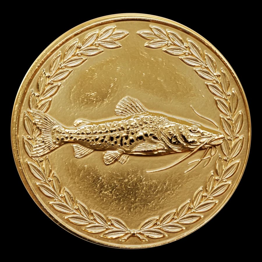 Medalla Surubí en 3D