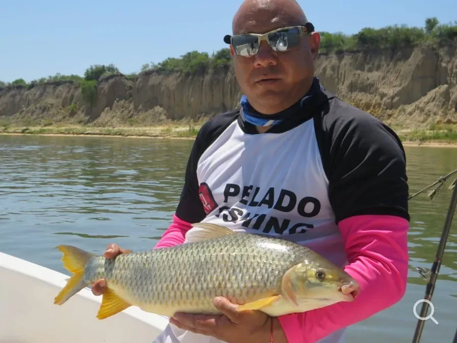 Pelado Fishing