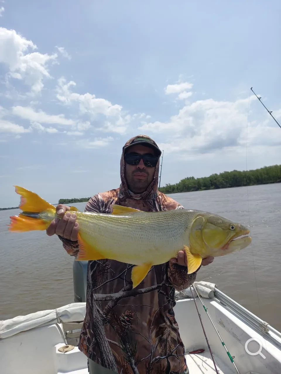 Golden dorado — Esquina (Corrientes)